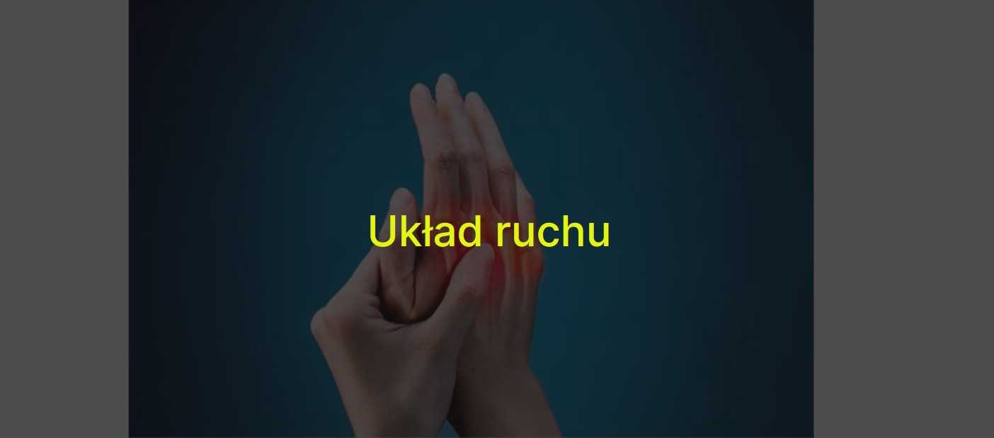 Układ ruchu