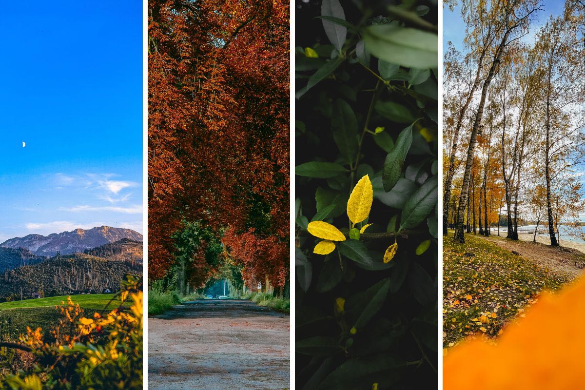 Jesienne presety do Lightrooma na telefon