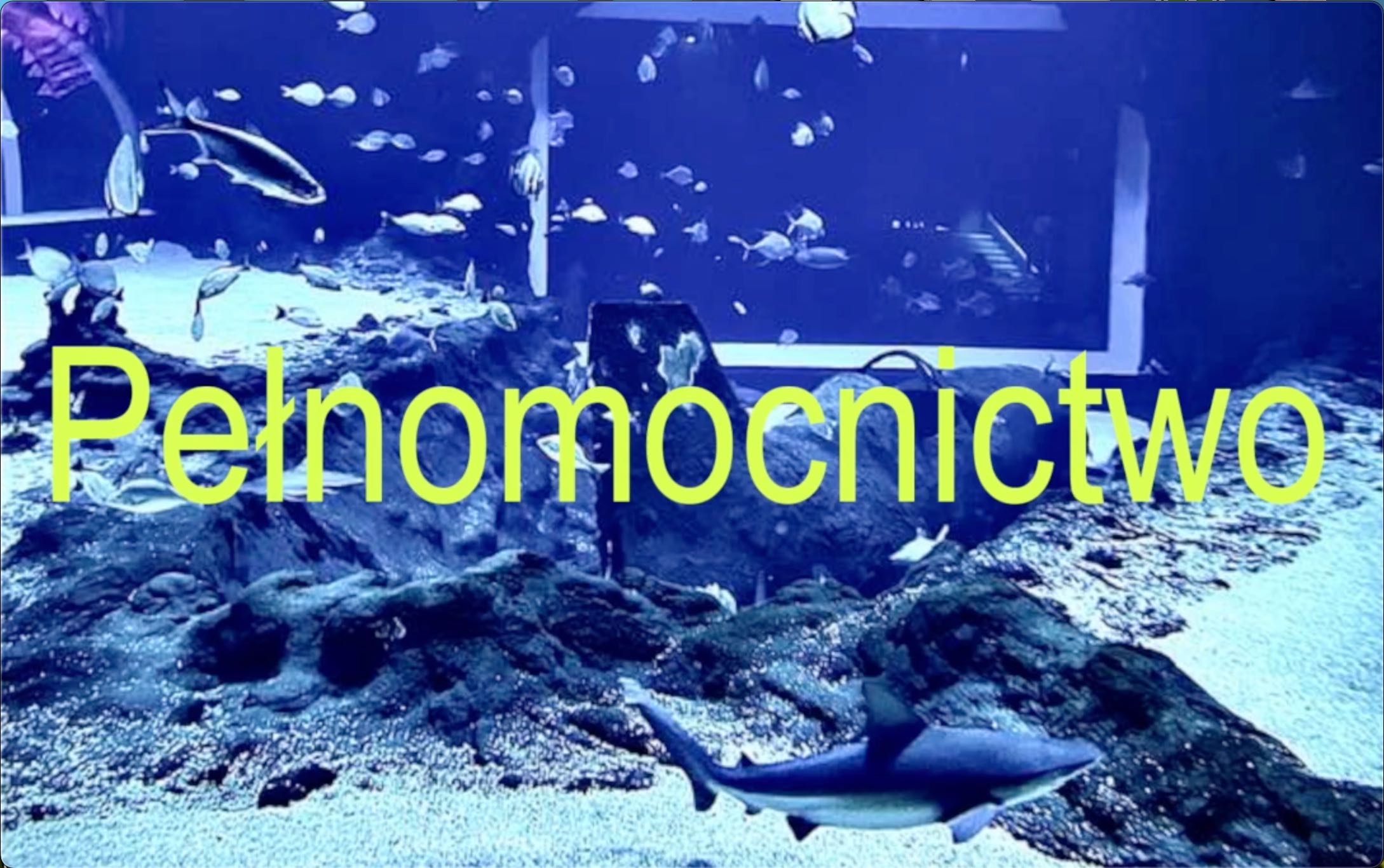 Pełnomocnictwo brokerskie