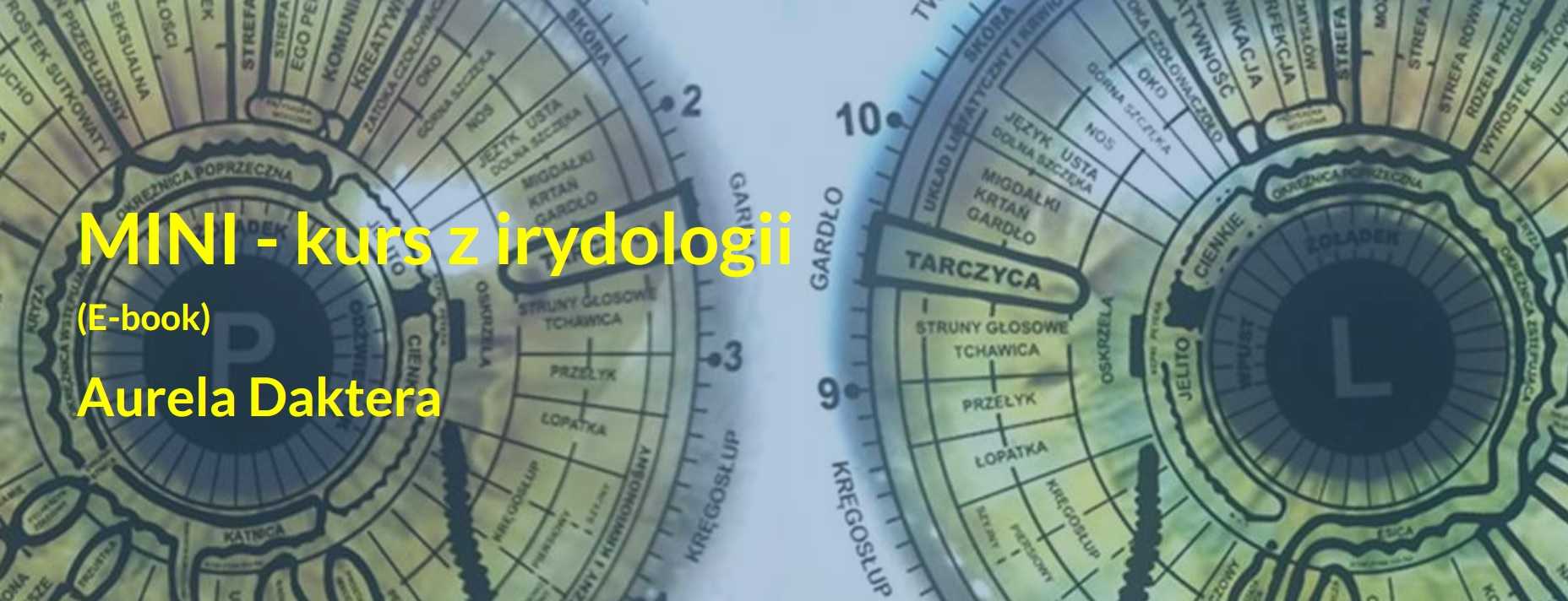 Irydologia MINI kurs - E-BOOK