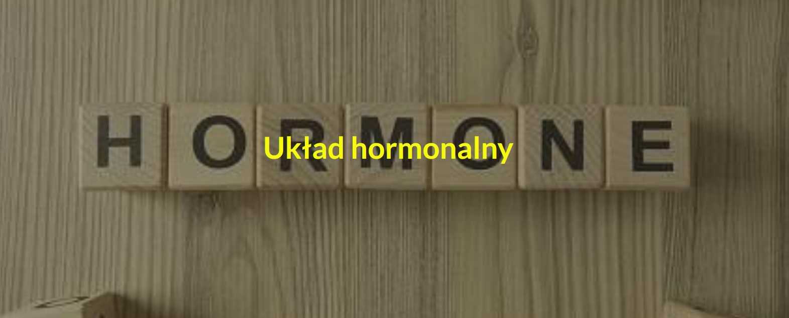 Układ hormonalny