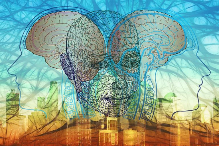 Podstawy psychologii ogólnej i rozwojowej z elementami wczesnego wspomagania rozwoju dziecka