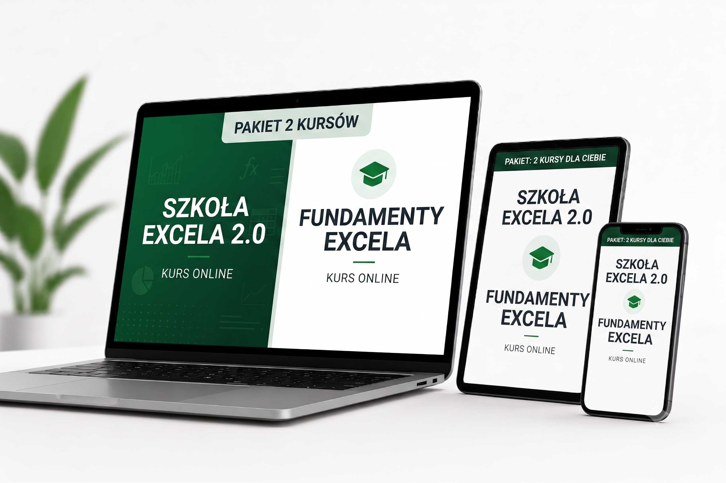Fundamenty Excela + Szkoła Excela 2.0 + Fundamenty Tabeli Przestawnej (bezterminowo)