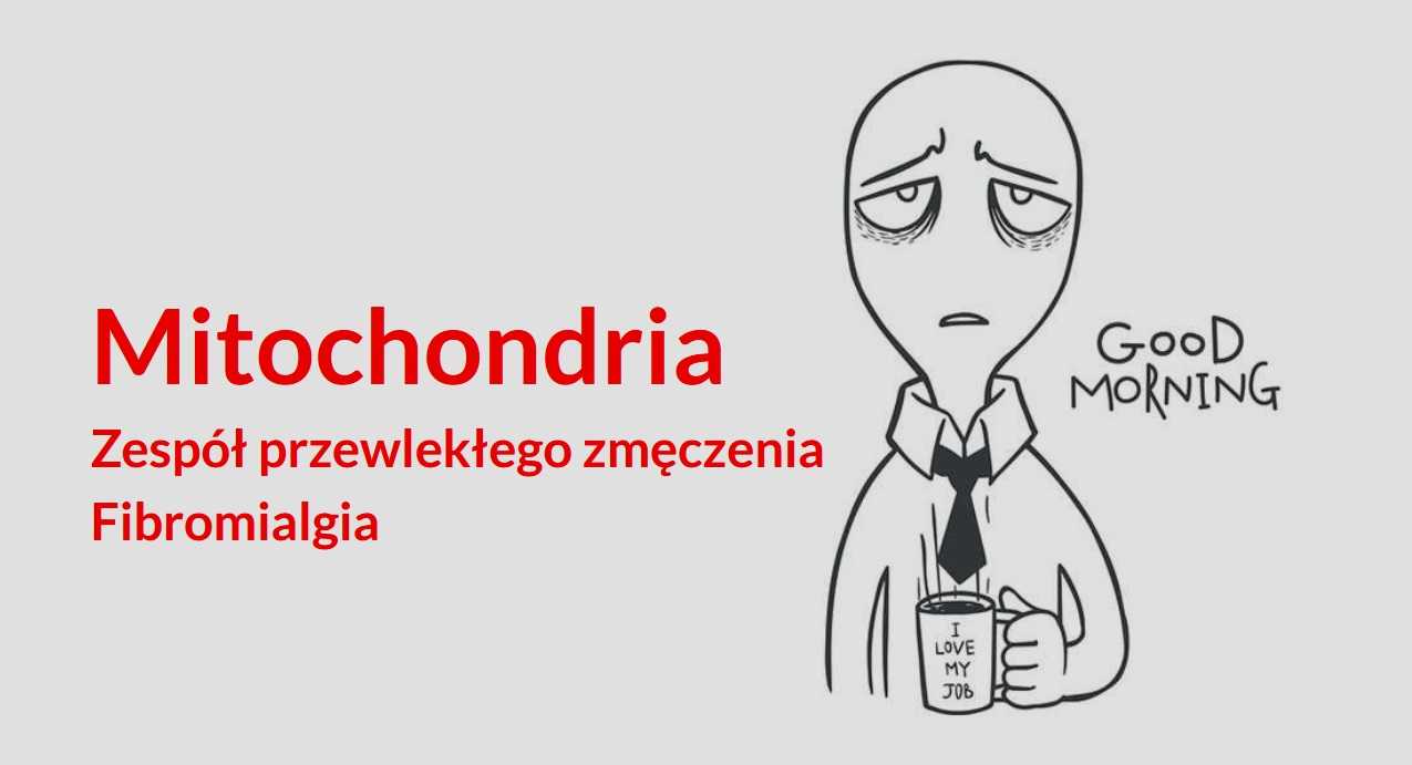 Mitochondria - Zespół przewlekłego zmęczenia, Fibromialgia