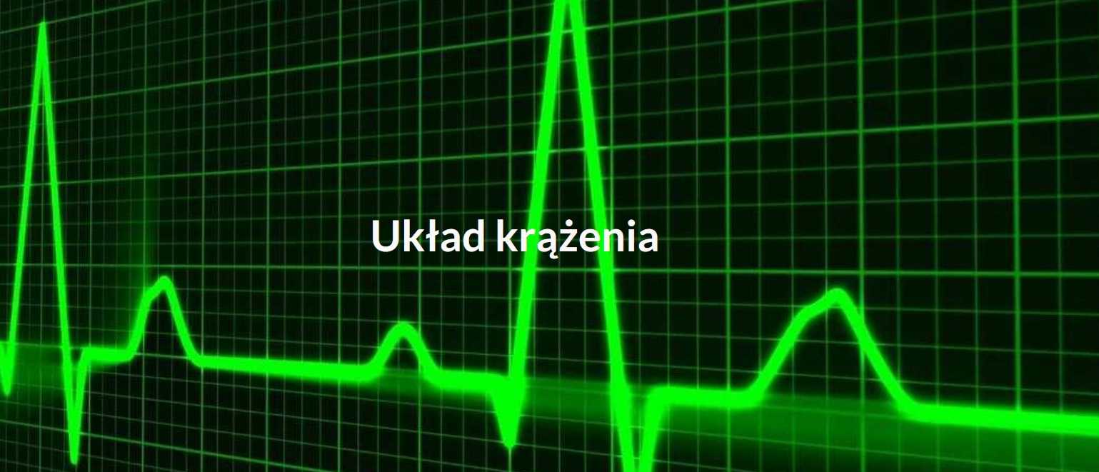 Układ krążenia