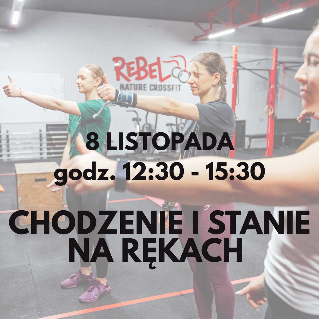 CHODZENIE I STANIE NA RĘKACH - WARSZTATY
