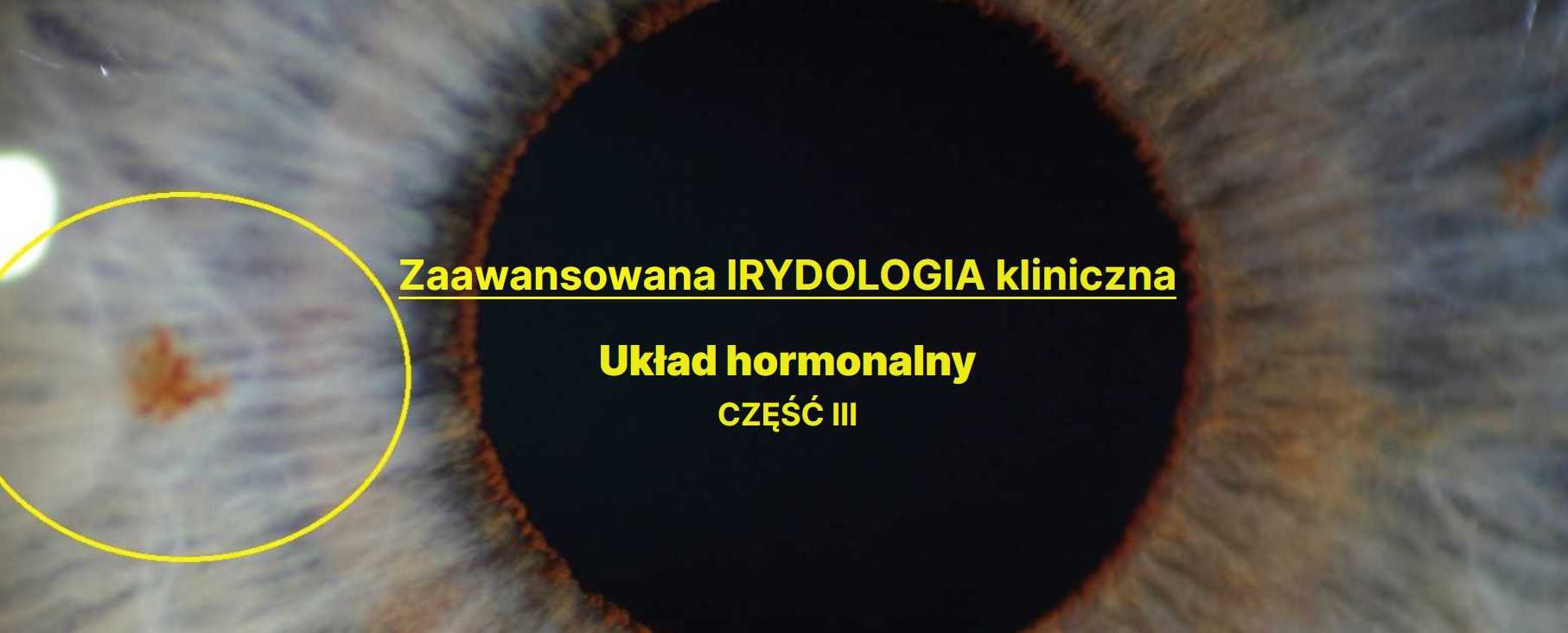 Zaawansowana irydologia kliniczna - Układ hormonalny - CZęść 3
