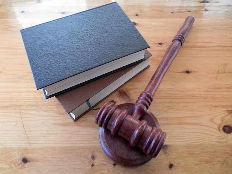 Metodyka pracy kuratora sądowego z podstawami prawa i ochrony własności intelektualnej