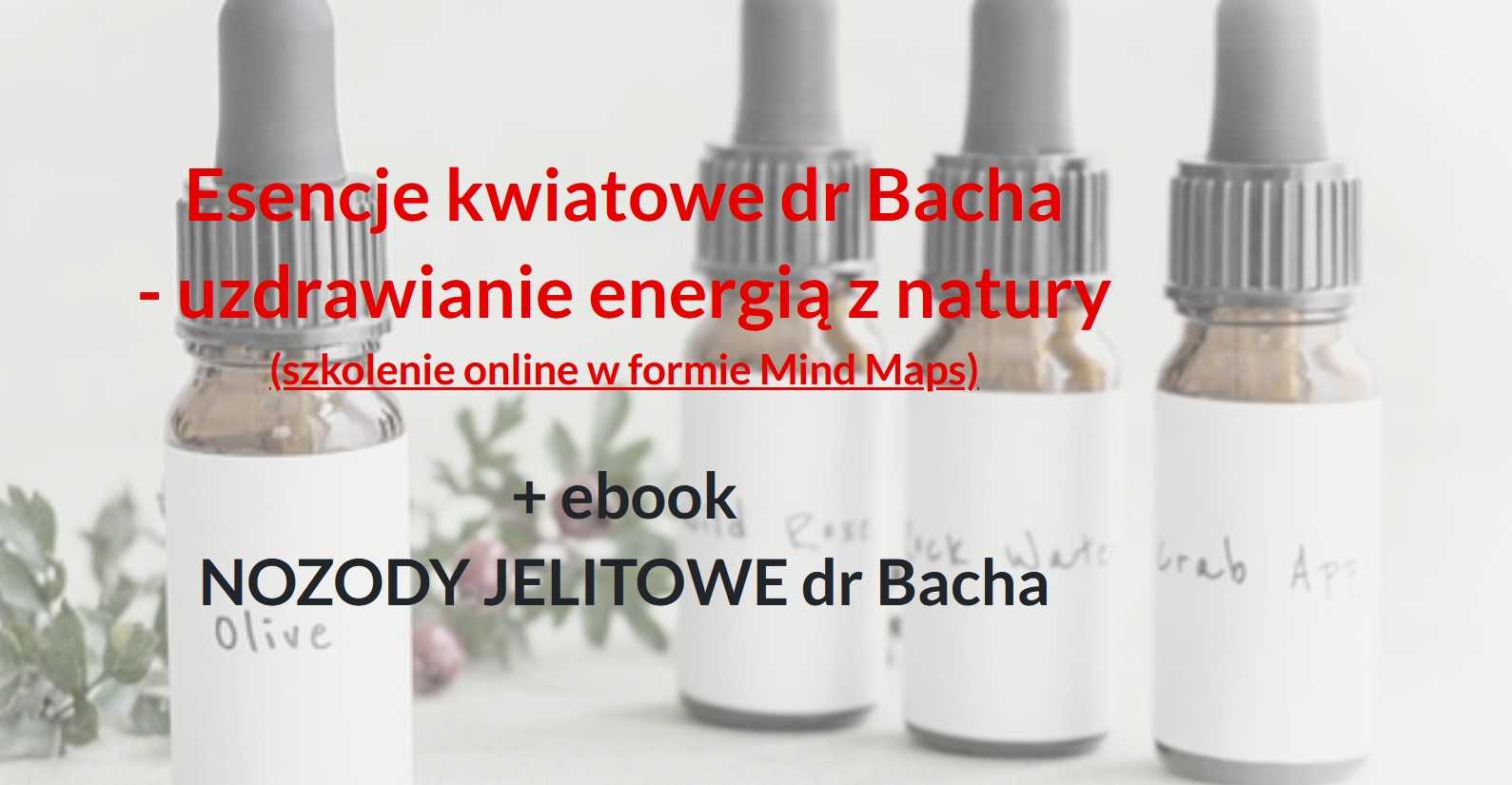 Esencje kwiatowe dr Bacha  - uzdrawianie ciała i duszy energią  z Natury